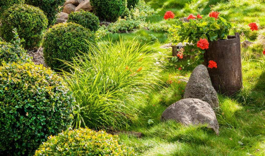 Landscaping