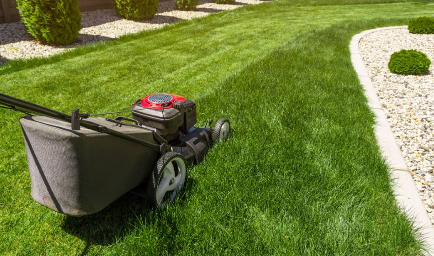 K&S Lawn Care and Landscaping